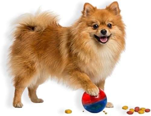 Pet Games Comedouro Brinquedo Pet Ball Mini